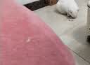 皇家猫粮 绝育成猫粮 SA37通用粮1-7岁4.5KG 实拍图