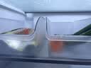 维艾（Newair）冰箱盒保鲜整理收纳盒厨房专用蔬菜鸡蛋食品冷冻储物神器抽屉式 实拍图