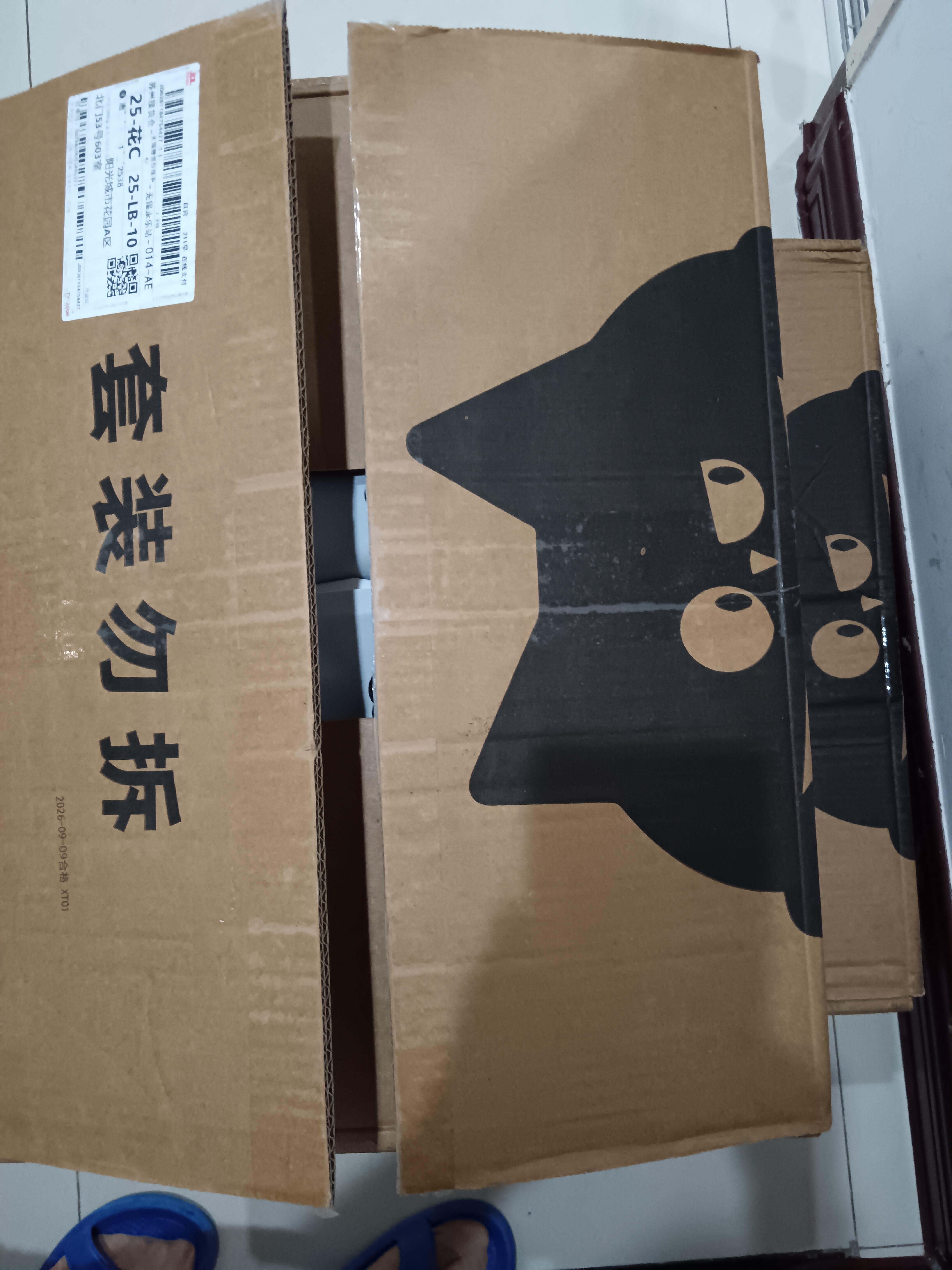 洁客（Drymax）豆腐砂植物环保结团除臭猫砂绿茶2.72kg*6包共16.32kg 实拍图