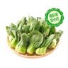七鲜24小时富硒小油菜 250g 实拍图