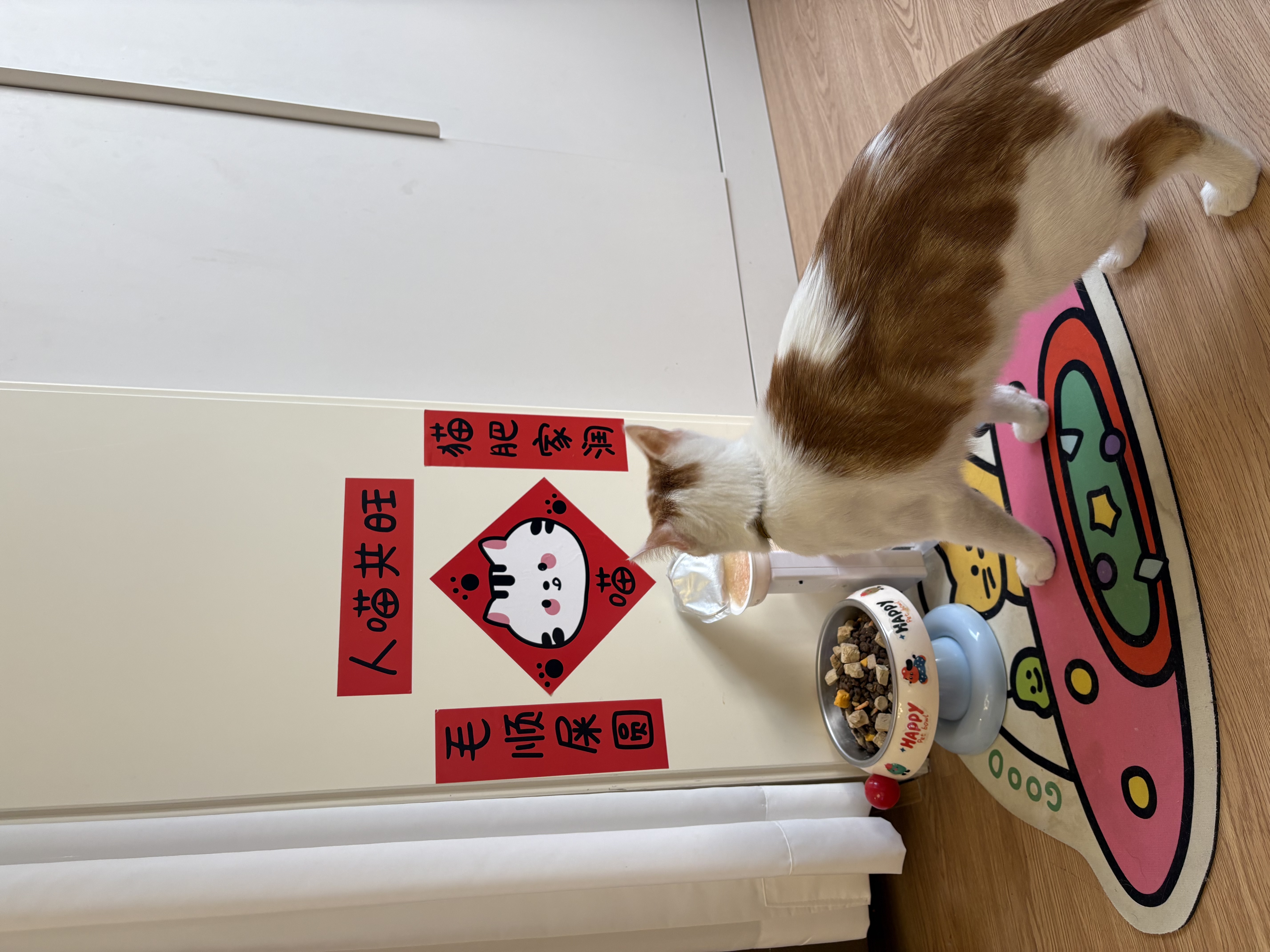 麦富迪猫粮 超肉粒冻干双拼成猫粮美毛护肠三文鱼10kg/20斤【宠物金选】 实拍图