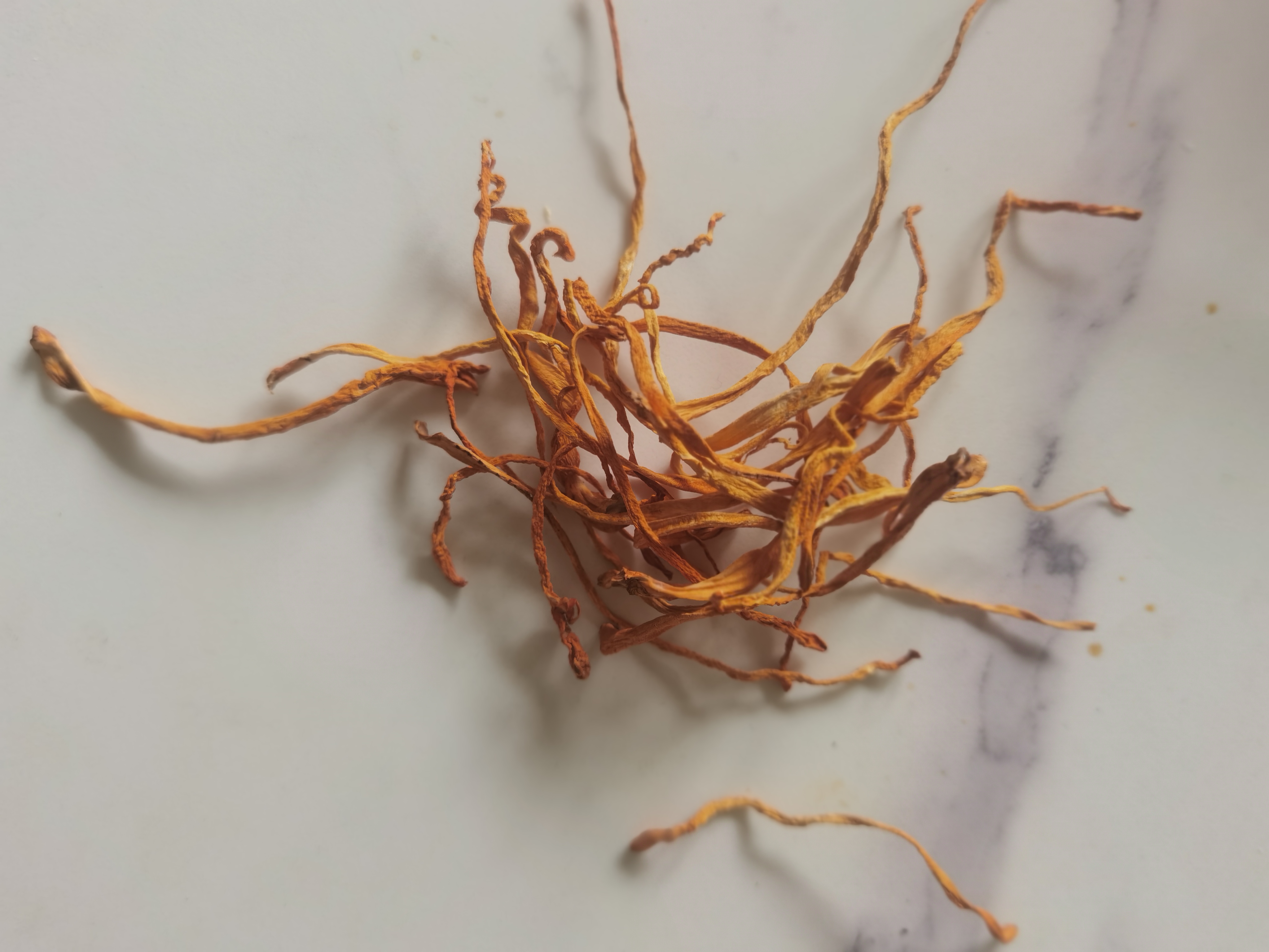 黑土优选 蛹虫草 虫草花200g （精选滋补煲汤材料 火锅炖汤食材） 实拍图