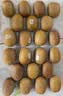 佳沛（zespri）新西兰金奇异果22粒巨大原箱146-175g猕猴桃中秋节礼品送水果礼盒 实拍图