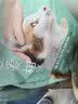 网易严选宠爱相伴全价猫粮 实惠宠物主粮成幼猫爱心公益 美毛护肠胃 1.8kg 实拍图
