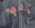 九棵松衣服染色剂染衣服染料旧衣翻新裤子染色服装改色环保不褪色免煮 藏青色 实拍图