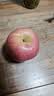 京鲜生 烟台红富士苹果 净重10斤 单果220g以上  生鲜礼盒 实拍图