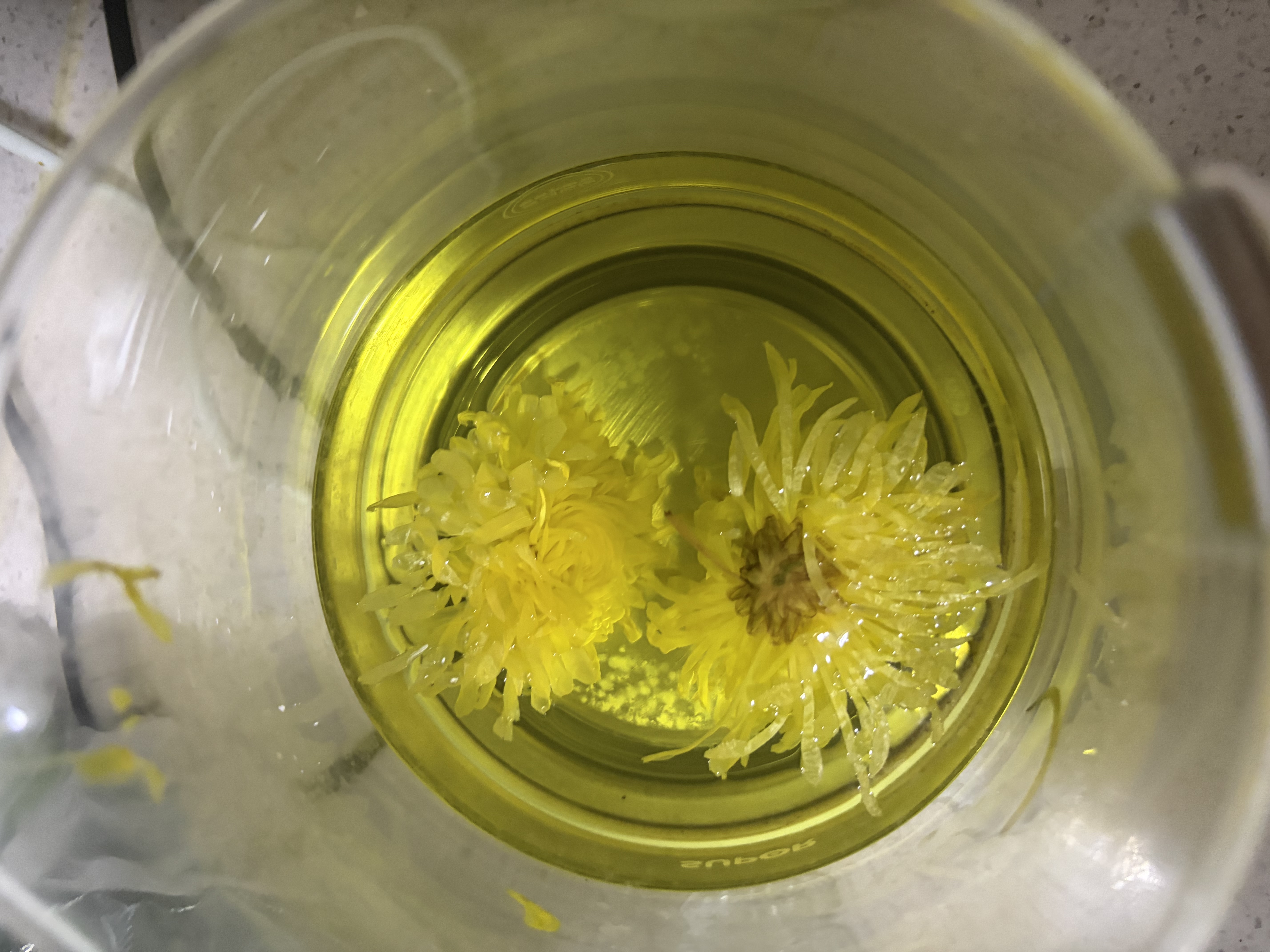 贡苑菊花茶30大朵黄山金丝皇菊特级一杯一朵独立包装熬夜去火胎菊20g 实拍图