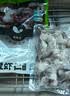 新虹宝黑虎虾仁200g（18-22粒） 实拍图