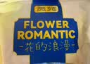 贡苑黄芪片520g【当季新货】甘肃黄芪泡水生黄芪片当归黄氏煲汤大份量 实拍图