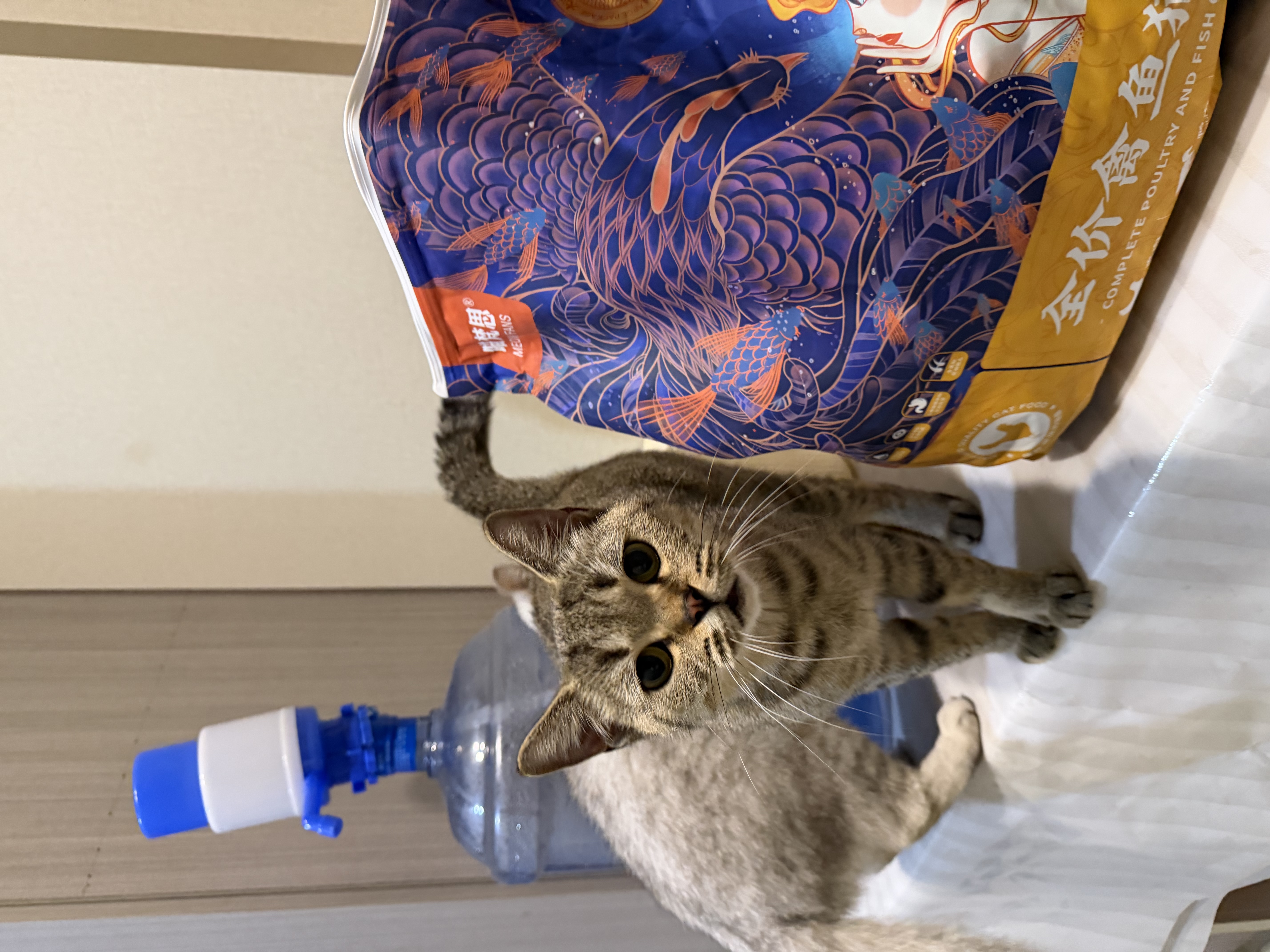喵梵思猫主粮全价猫粮全期全种通用幼猫成猫营养宠物猫粮猫主粮 汉欧量贩大包装10斤 2个月及以上 实拍图