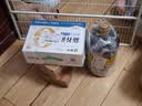 陶华碧老干妈  辣椒酱 香辣脆油辣椒酱210g 贵州特产  实拍图
