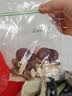 福东海 (非湿式)桂圆肉250克 无核免剥自然干晒高州龙眼肉即食气血煲汤 实拍图