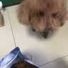 LEGENDSANDY蓝氏狗粮真鲜乳鸽中小型犬泰迪比熊生骨肉冻干鲜肉犬粮4.5kg9斤 实拍图