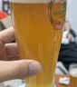 泰山原浆啤酒泰山原浆7天8°p新鲜精酿啤酒整箱全麦芽酿造 黄7 双瓶装 实拍图