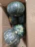 京鲜生内蒙沙漠贝贝南瓜 净5斤(粉糯瓜) 中果300g+辅食 源头直发 实拍图