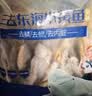 鲜到鲜得 冷冻海捕小黄鱼450g 黄花鱼 深海鱼 生鲜 鱼类 烧烤食材 海鲜 实拍图