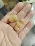 万港干贝六星250g约160粒 淡干瑶柱肉煲汤煮粥干货北海特产 送礼礼品 实拍图