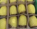 佳沛（zespri）新西兰金奇异果12粒特大果124-146g猕猴桃中秋节礼品送水果礼盒 实拍图