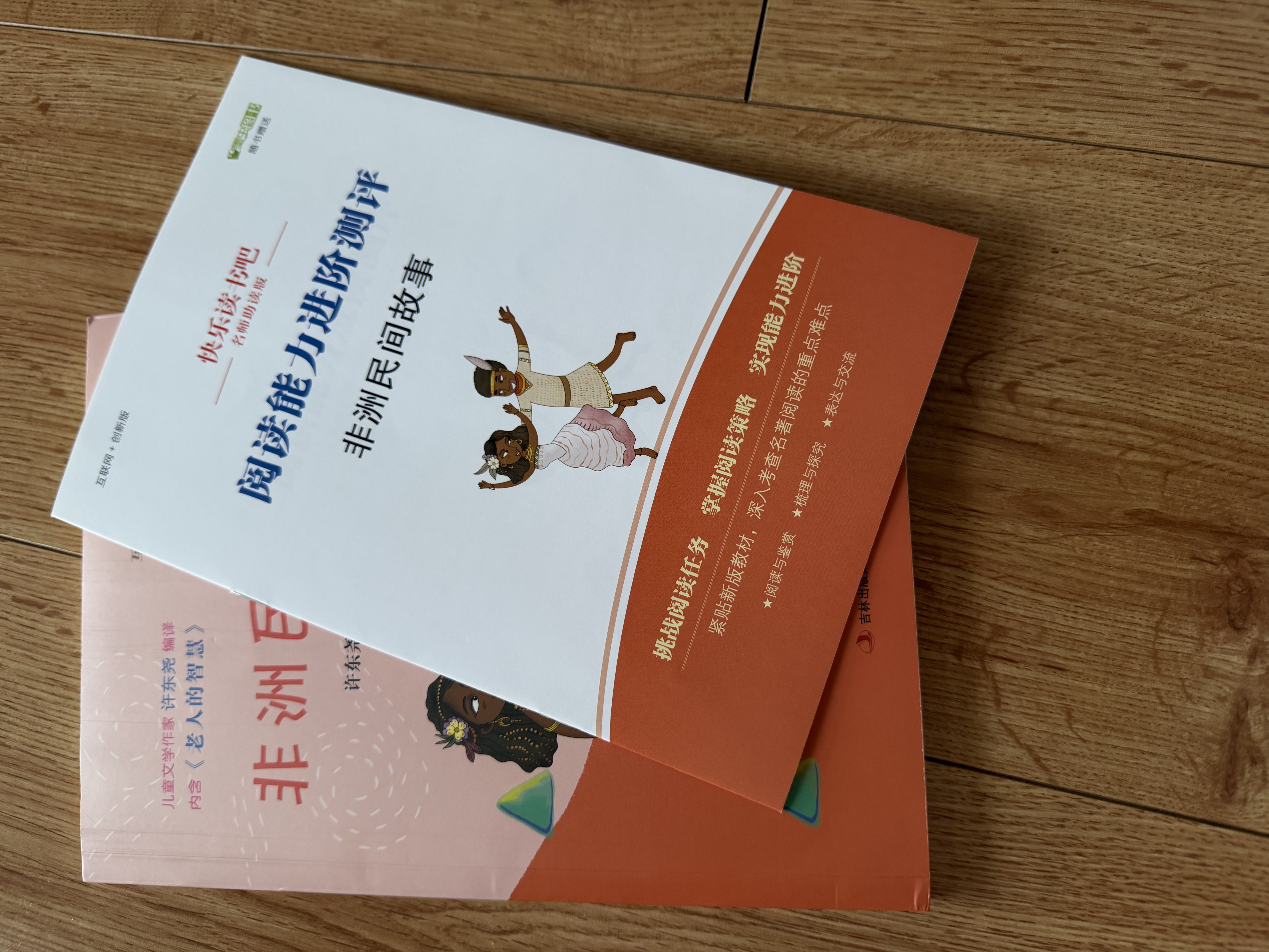 非洲民间故事（彩插版）快乐读书吧五年级上册推荐阅读 开学季 实拍图