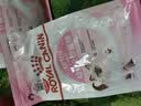 皇家猫粮 幼猫奶糕 幼猫猫粮 BK34 通用粮 1-4月 400g 实拍图