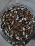 乖卷鹦鹉饲料 虎皮玄风鸟食谷子画眉鸽子混合粮牡丹文鸟饲料1.5kg 实拍图