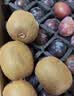 佳沛（zespri）新西兰金奇异果12粒特大果124-146g猕猴桃中秋节礼品送水果礼盒 实拍图