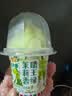 东北大板3联杯多口味雪糕/雪泥 组合杯装 冷饮 实拍图