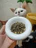 网易严选全价猫粮4.0成幼猫三文鱼亮毛养胃深海鱼虾1.8kg*6袋【宠物金选】 实拍图