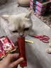 弗列加特 96%高肉含量主食营养猫条 成猫湿粮 火鸡肉鳟鱼15g*50支 实拍图