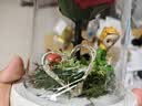RoseBox生日礼物永生花小王子玫瑰花结婚纪念日新婚送女朋友新娘高级实用 实拍图
