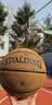 斯伯丁（SPALDING）TF系列ProGrip全新升级掌控全国U联赛比赛同款7号球76-874YREV1 实拍图
