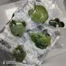 疯狂水草鱼缸浮萍水草鱼缸水培植物绿植水培养鱼水草经典套餐源头直发包邮 实拍图