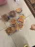 三只松鼠0蔗糖水牛乳手撕面包1kg 早餐面包营养饱腹代餐蛋糕糕点 实拍图