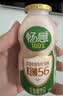 伊利畅意100%乳酸菌原味100ml*30瓶 专利菌株K56 中秋送礼 5-7月产 实拍图