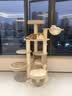 兽牌森林猫爬架大型猫树猫窝一体豪华剑麻猫架太空舱缅因大猫四季适用 森林【经典款】 实拍图