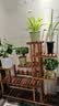 华观家居（Home Giving Furniture）可移动手推花架实木多层落地式花盆架子木质盆景阳台客厅室内多肉 加强款碳色大号带轮 实拍图