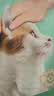 领先成猫尝鲜礼包主食级烘焙猫粮猫条餐盒汤包（新老款随机发货） 实拍图