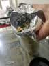 福东海 贡菊60g 安徽黄山白菊花 可搭玫瑰枸杞泡水喝的花草茶养生茶叶   实拍图