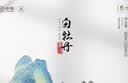 中茶茶叶蝴蝶白茶茶叶礼盒白牡丹礼盒福建白茶礼盒散茶300g送礼礼品 实拍图