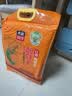 靓虾王红香香软米10斤 油粘米籼米 大米5kg 长粒猫牙米 当季新米 实拍图