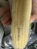 佳农内蒙白甜糯玉米棒8袋*220g 真空锁鲜 源头直发包邮 生鲜 中秋送礼 实拍图
