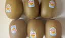 佳沛（zespri）新西兰 金奇异果特大果15粒134-146g猕猴桃中秋节礼品送水果礼盒 实拍图