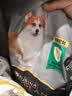冠能狗粮体重控制绝育犬成犬狗粮全价2.5kg 高蛋白低脂肪健康减轻体重 实拍图