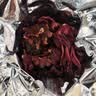南京同仁堂洛神花茶云南特级玫瑰茄干花无硫女神美容养颜女生人夏季凉茶泡水 实拍图