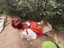 骆驼山栖户外登山包双肩包大容量便携露营徒步背包男女防泼耐磨书包 A1W3QJ111F，朱雀红，赠防雨罩 轻量升级版 轻感背负 实拍图