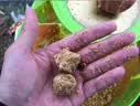 老鬼（OLDGHOST）鱼饵螺鲤2号340g螺藻浓腥鲤鱼专用饵料主攻江河湖库野钓通杀钓饵 实拍图