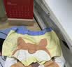 尼多熊男童内裤儿童男宝宝四角内裤纯棉10A抗菌中小童平角裤幼儿短裤 实拍图