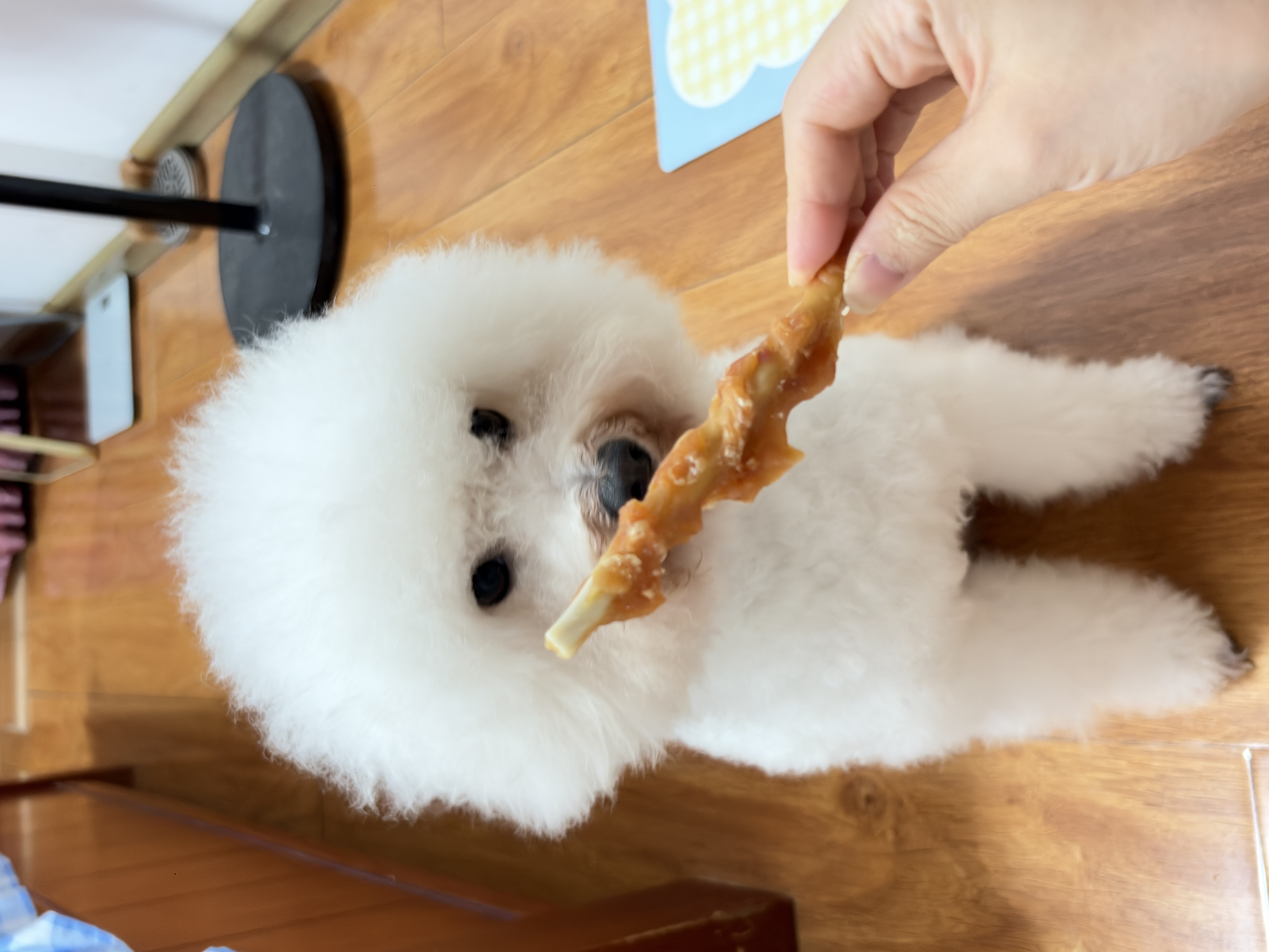 宠物零食狗狗零食耐咬洁齿鸡鸭肉绕饼干磨牙棒大中幼型犬泰迪 鸡肉绕牛皮磨牙棒 1000g/真牛皮磨牙棒 实拍图