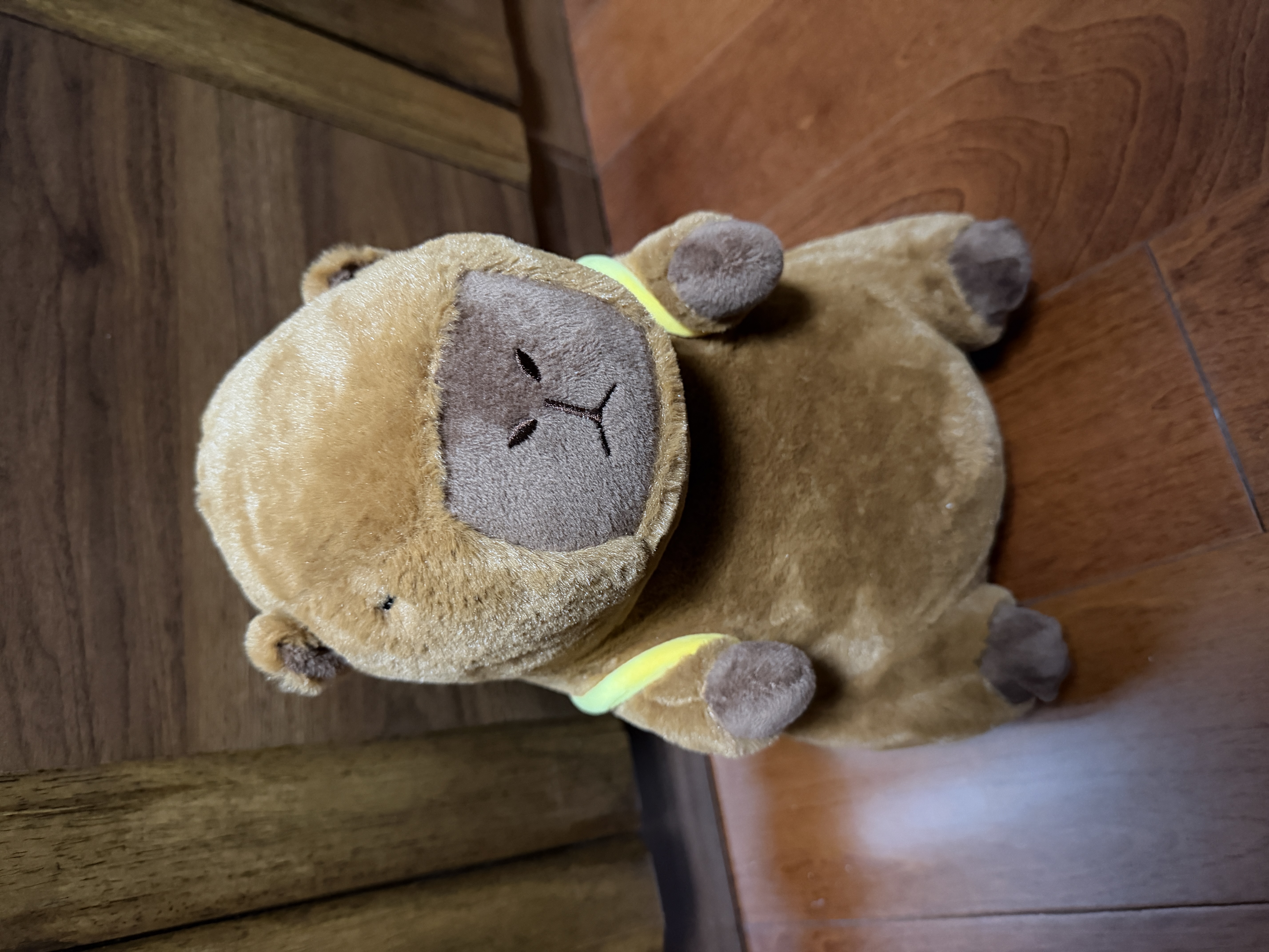 熊猫熊卡皮巴拉玩偶毛绒玩具公仔布娃娃男女孩生日礼物女生儿童水豚噜噜 实拍图