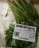 带根香菜100g 实拍图